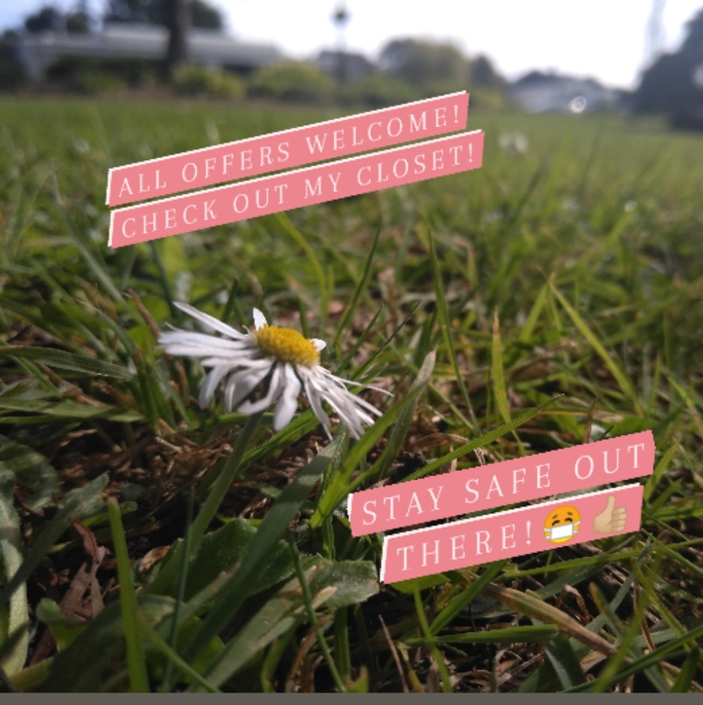 🌼🌍😊🌍🌼